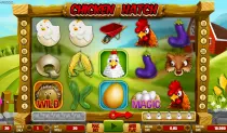 Chicken Hatch