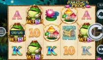 Magic Frog